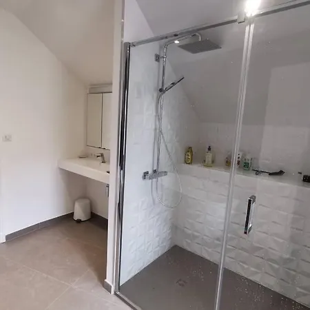 Grande Maison Standing Centre De - 10 Pers Vichy