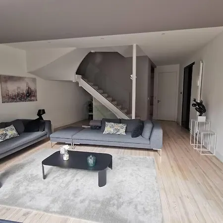 Villa Grande Maison Standing Centre De - 10 Pers Vichy